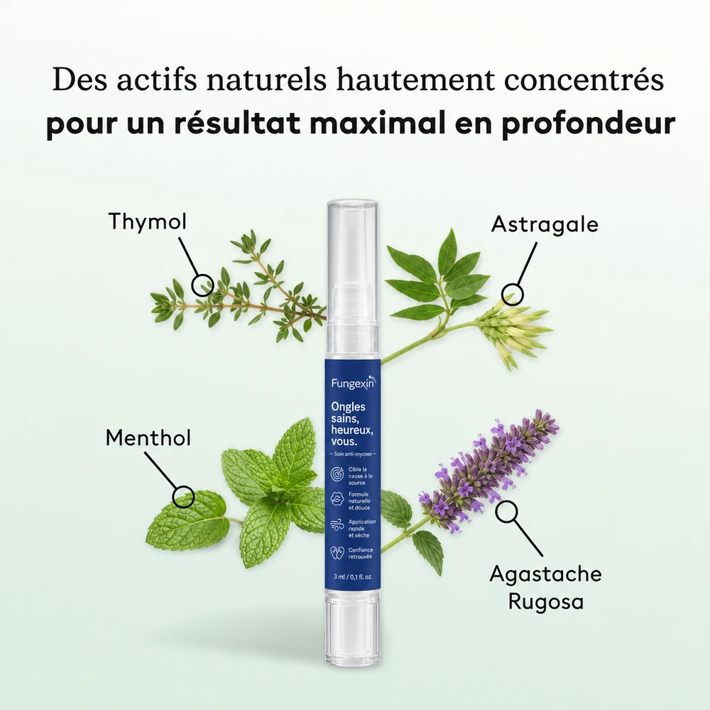 Les actifs naturels du stylo Fungexin : thymol, astragale, agastache, menthol